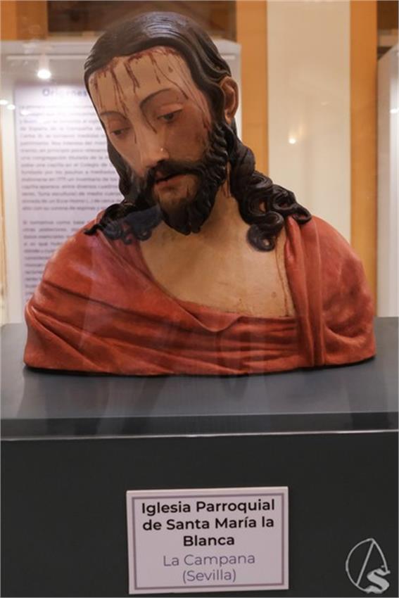 DSCF2862_Copiar.JPG