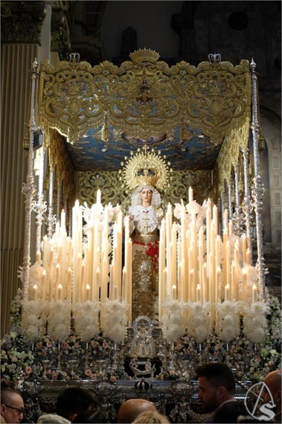 miercoles sed