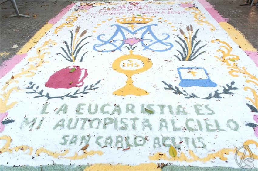 DSCF3335_Copiar.JPG