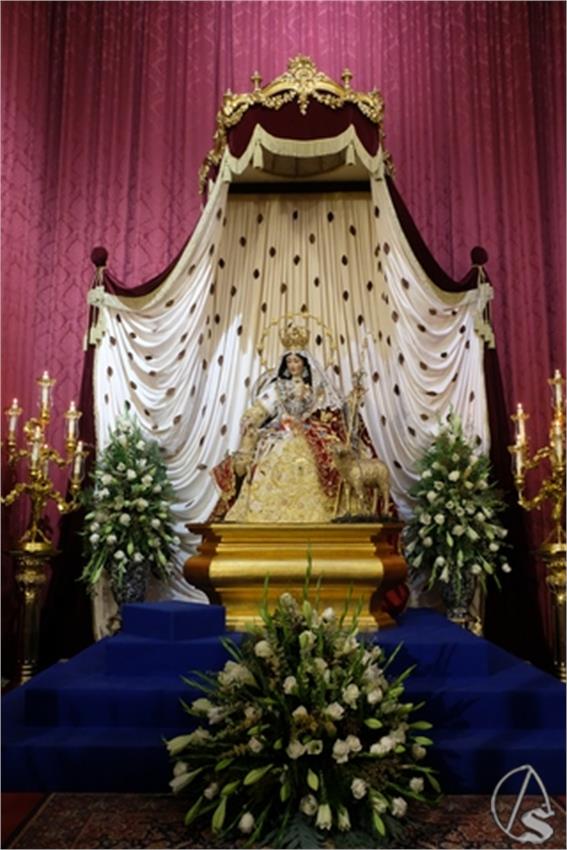 DSCF3529__Copiar__5.JPG