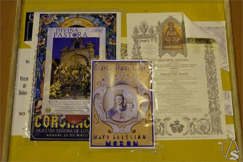 DSCF3856__Copiar__2.JPG