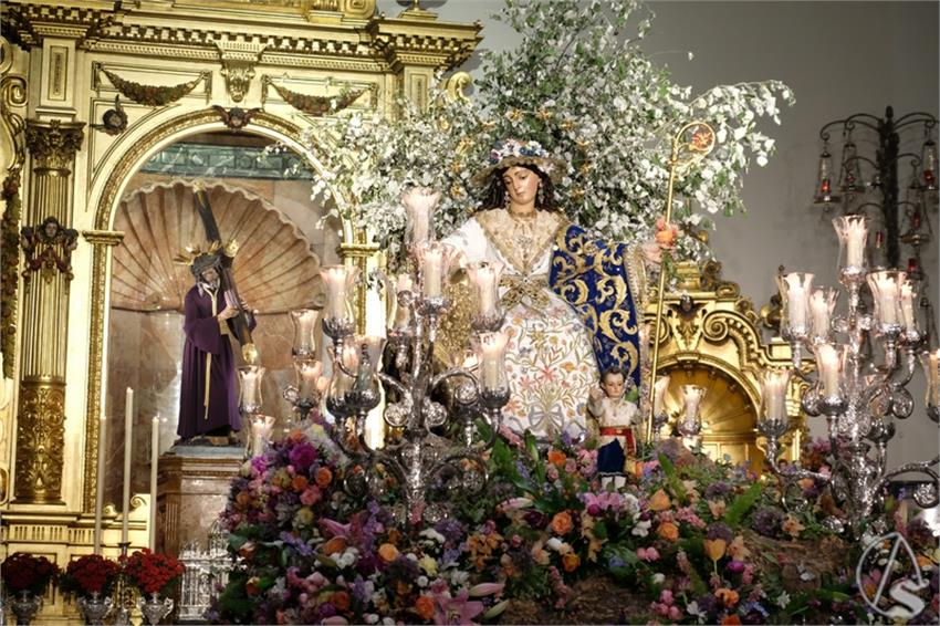 DSCF3883__Copiar__2.JPG