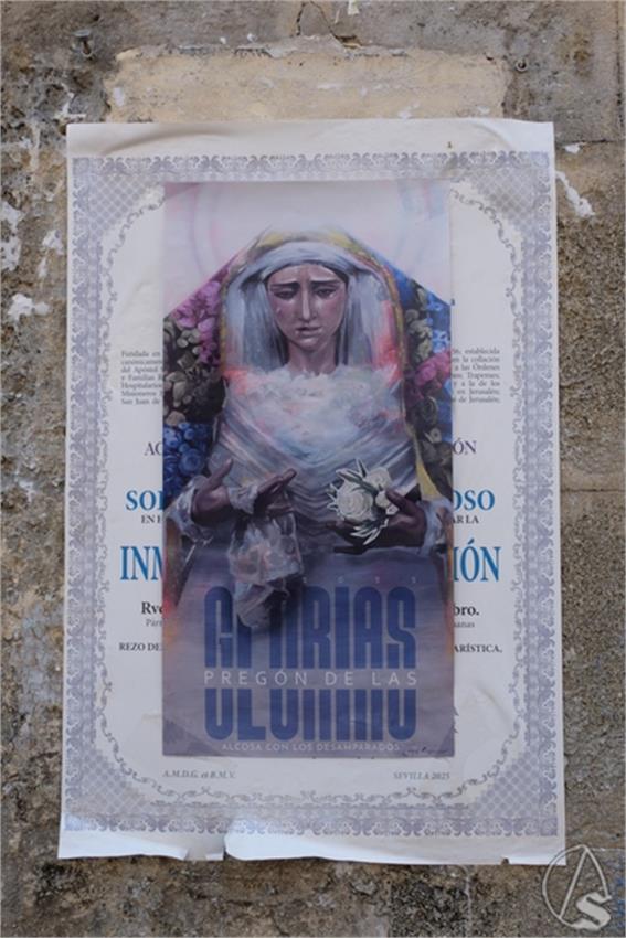 DSCF4102__Copiar__2.JPG