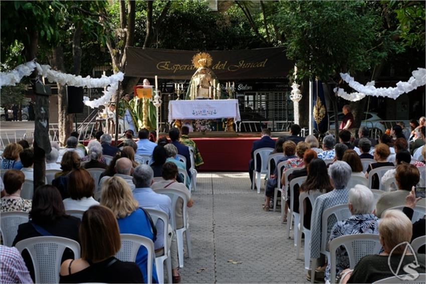 DSCF4414__Copiar__1.JPG
