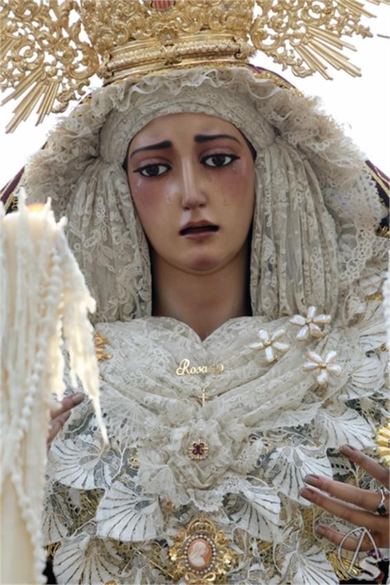 DSCF4464__Copiar__2.JPG
