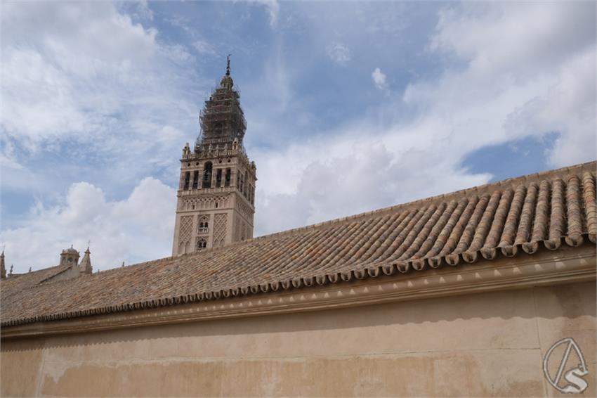 DSCF4842_Copiar.JPG