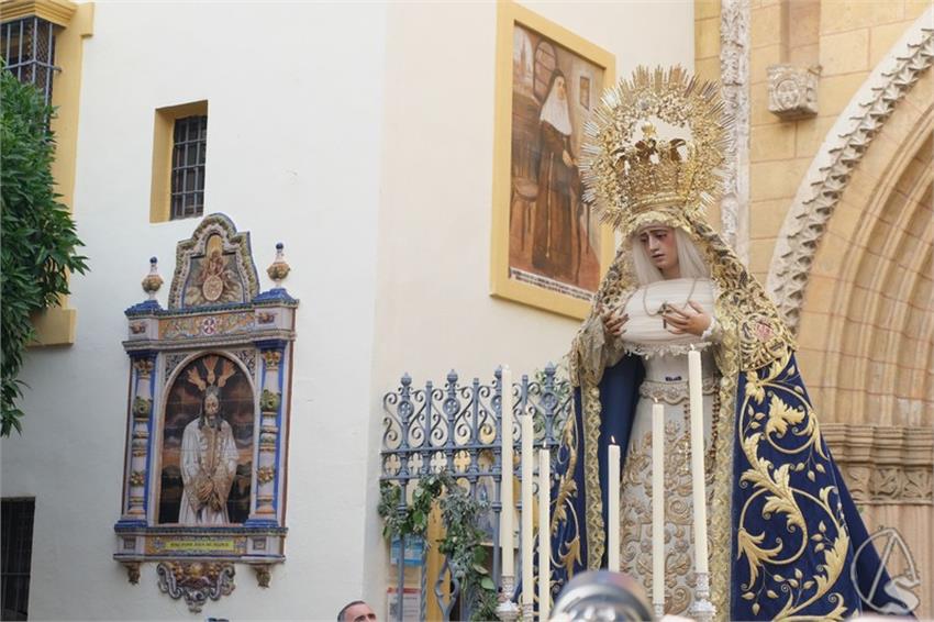 lucis amargura
