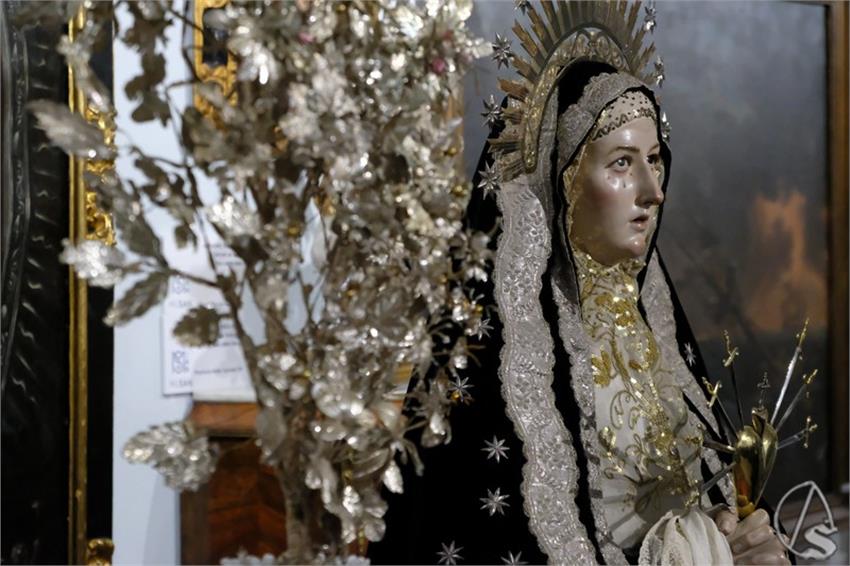 DSCF5040__Copiar__2.JPG