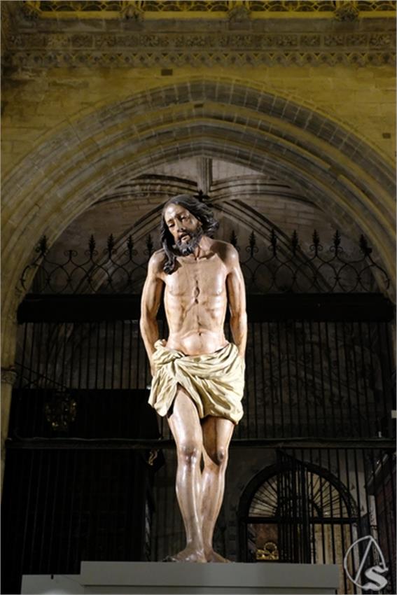 DSCF5341__Copiar__3.JPG