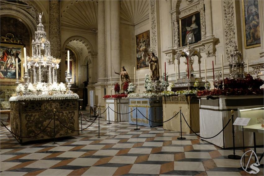 DSCF5345__Copiar__2.JPG