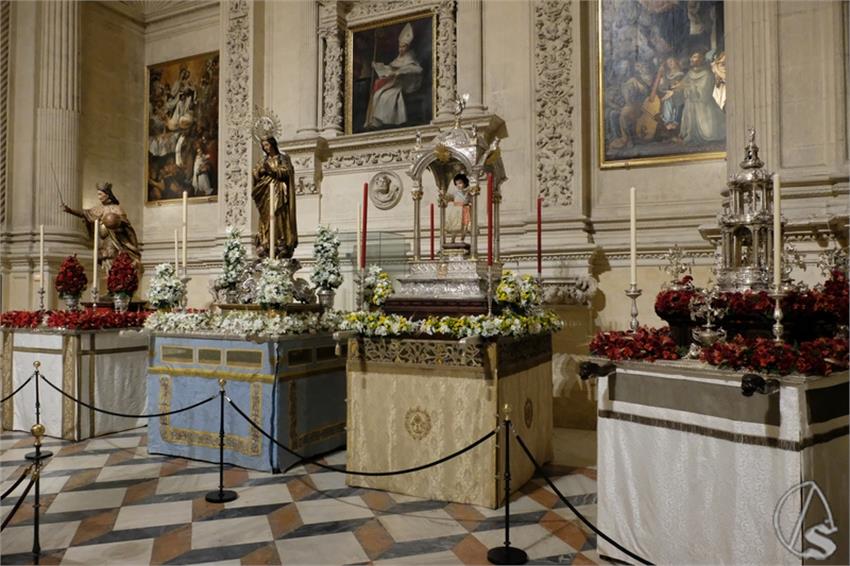 DSCF5349__Copiar__1.JPG