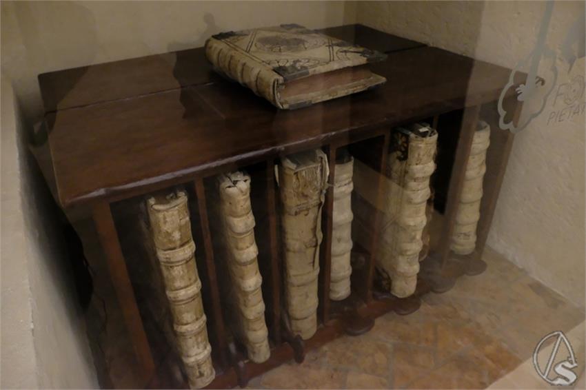 DSCF5416__Copiar__2.JPG