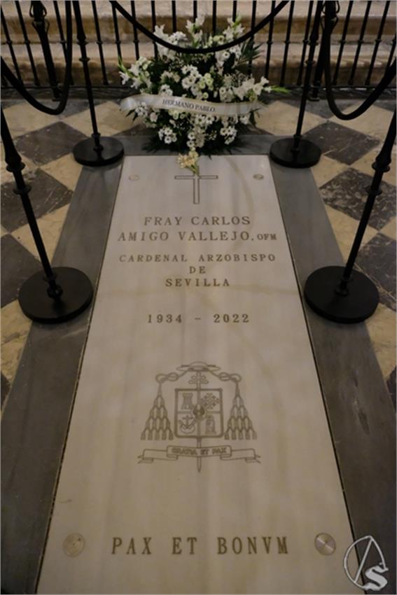 DSCF5421__Copiar__2.JPG