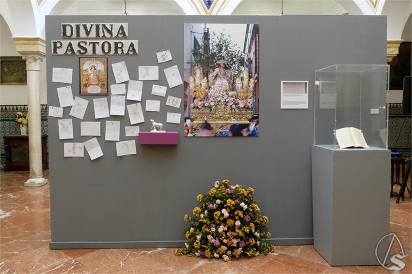 DSCF6199__Copiar__2.JPG