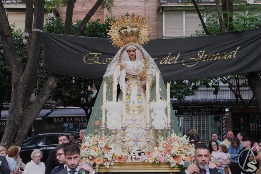DSCF6211_Copiar.JPG
