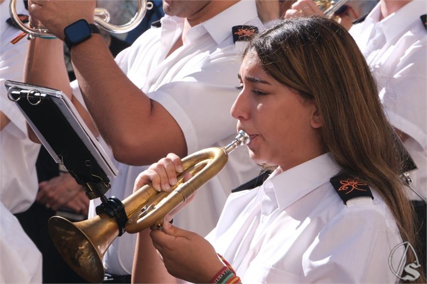 DSCF6659_Copiar.JPG