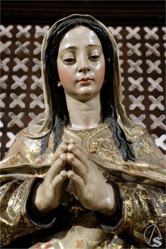 DSCF7016__Copiar__1.JPG