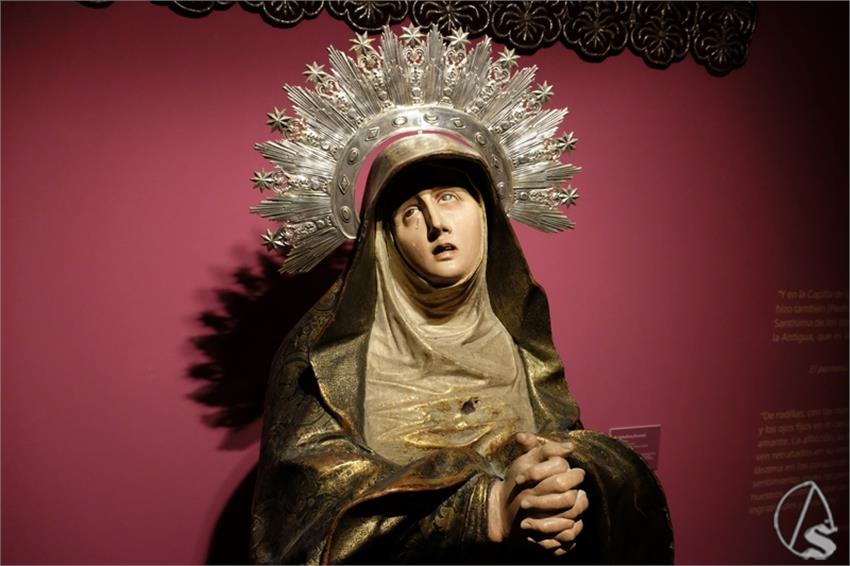 DSCF7311__Copiar__1.JPG