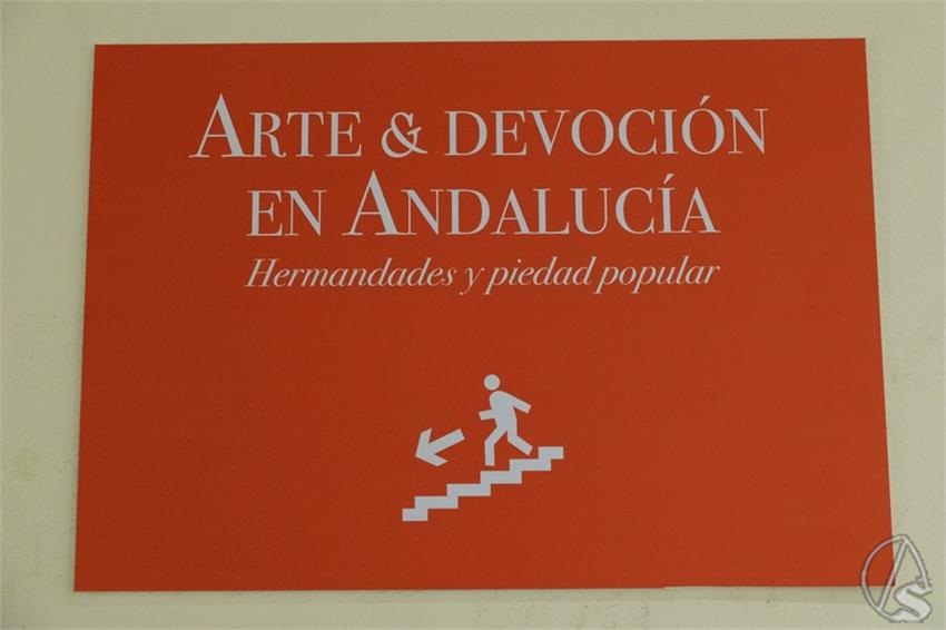 DSCF7314__Copiar__1.JPG