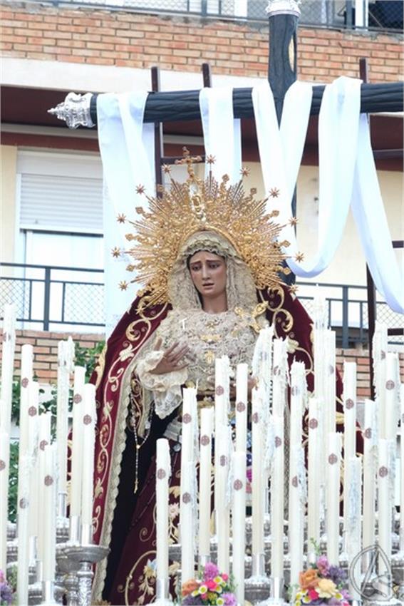 desamparados alcosa