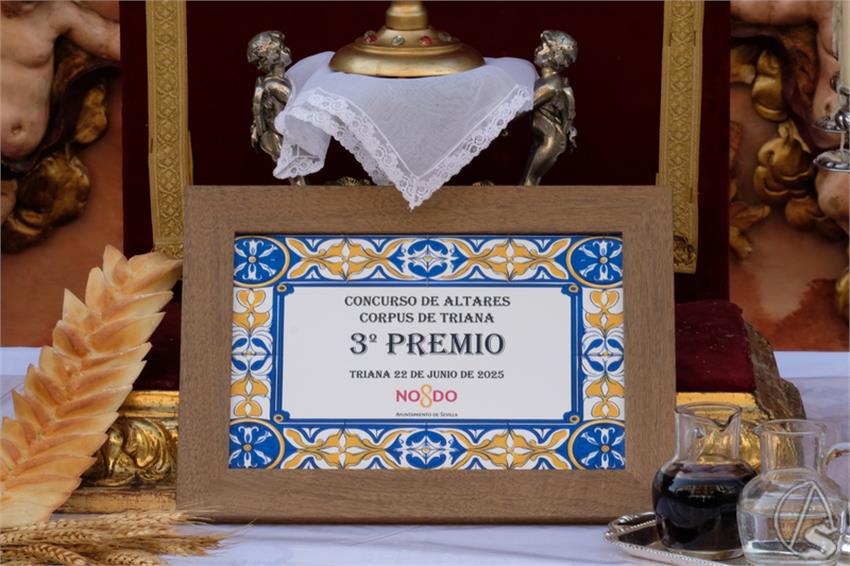 DSCF7926__Copiar__4.JPG