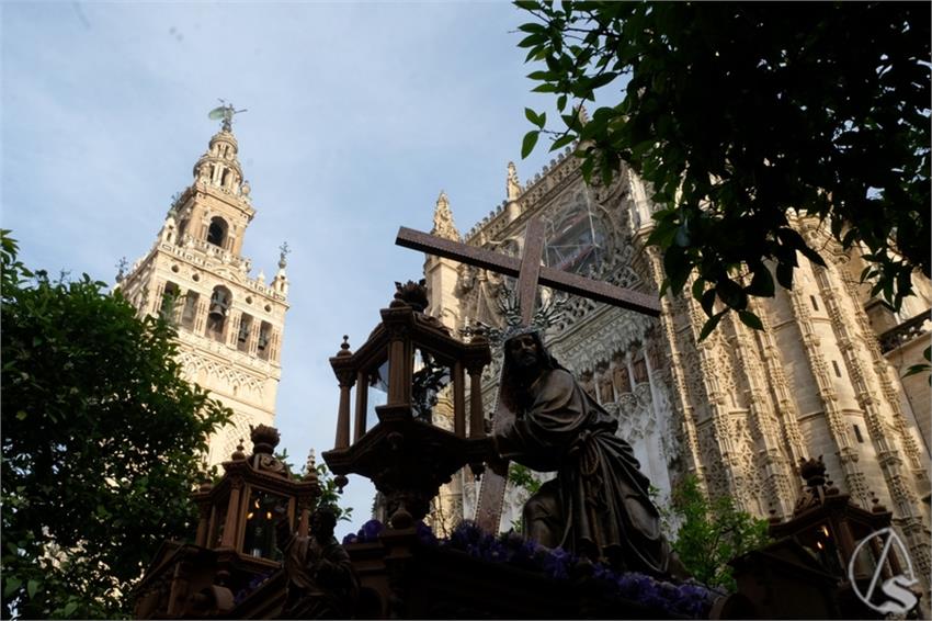 DSCF7993__Copiar__2.JPG