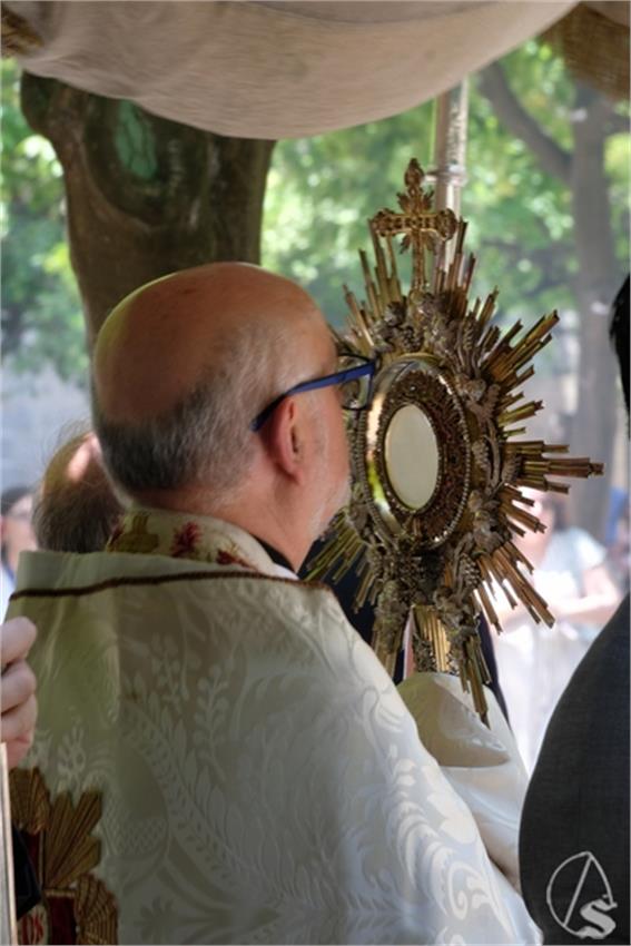 DSCF8178__Copiar__2.JPG