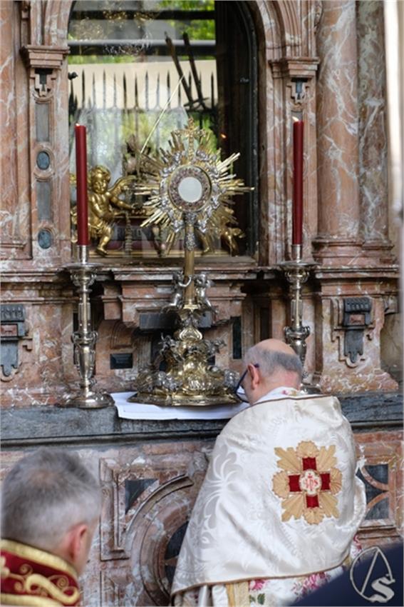 DSCF8195__Copiar__2.JPG