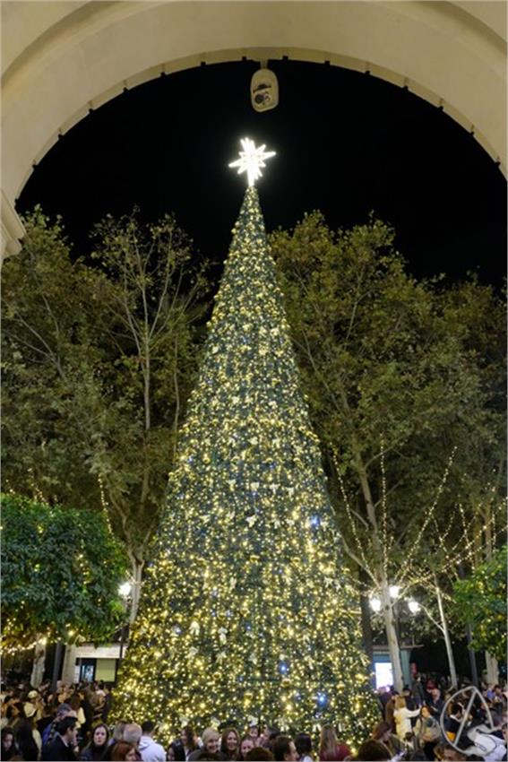 DSCF8217__Copiar__2.JPG