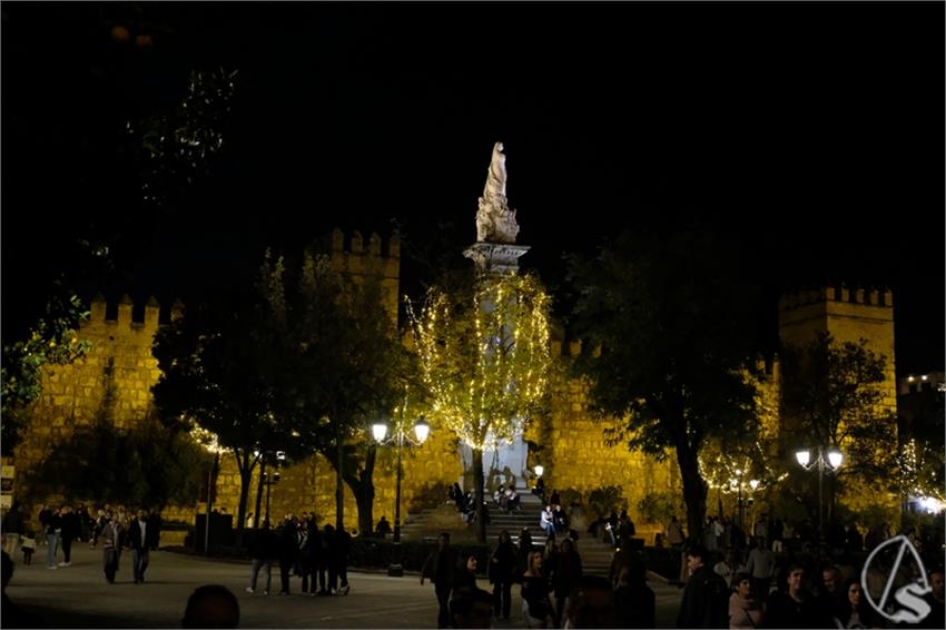 DSCF8234__Copiar__2.JPG