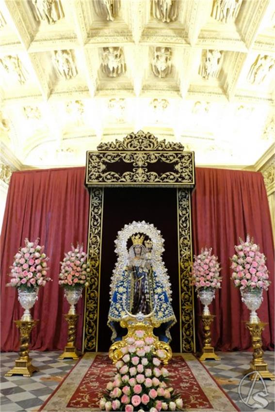 DSCF8242__Copiar__2.JPG