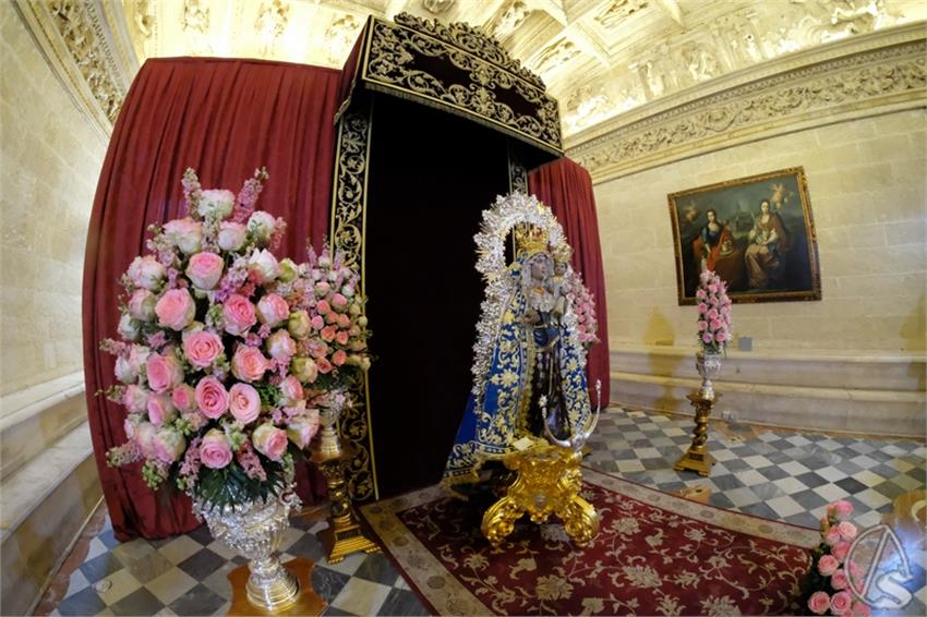DSCF8248__Copiar__2.JPG