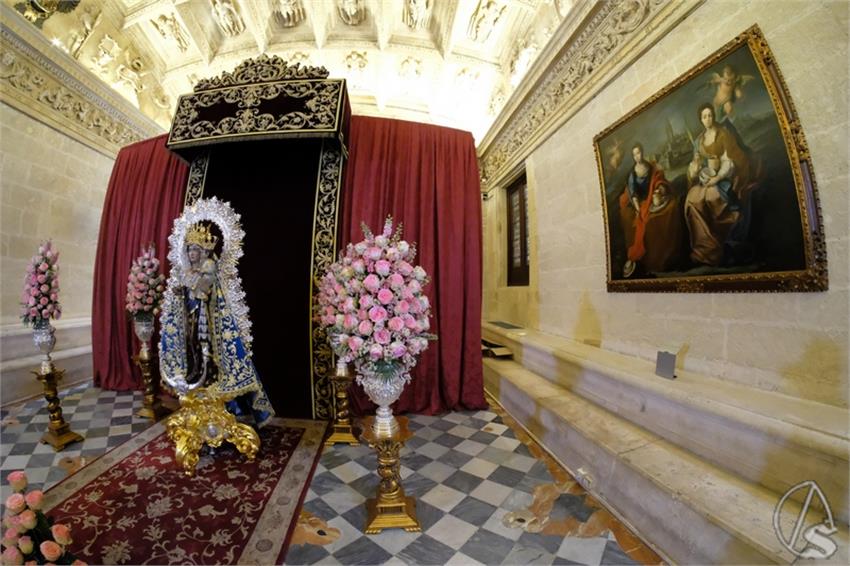 DSCF8249__Copiar__2.JPG