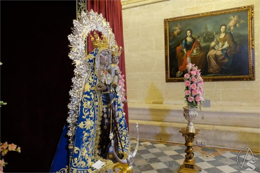 DSCF8251__Copiar__2.JPG