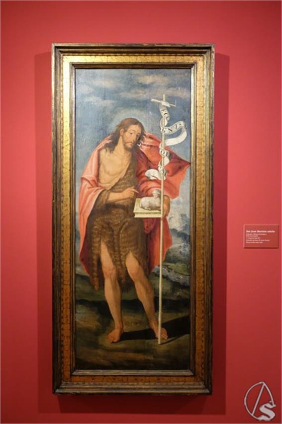 DSCF8309__Copiar__1.JPG
