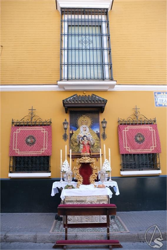 DSCF8320_Copiar.JPG