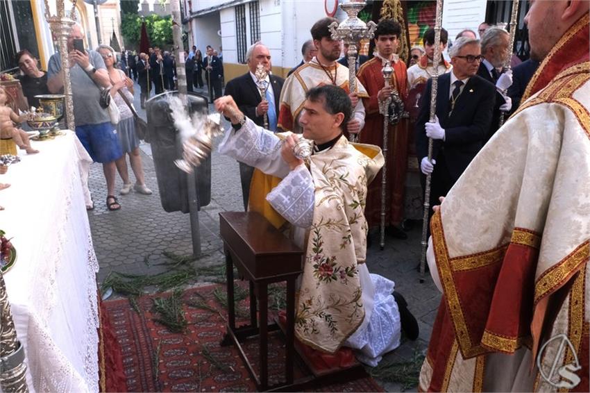 DSCF8354_Copiar.JPG