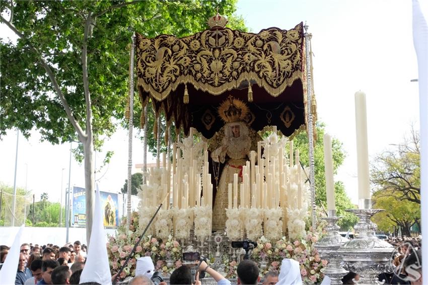 DSCF8383__Copiar__3.JPG