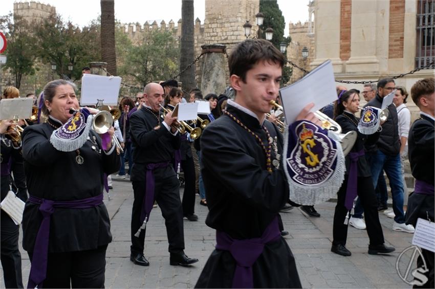 DSCF8405__Copiar__2.JPG