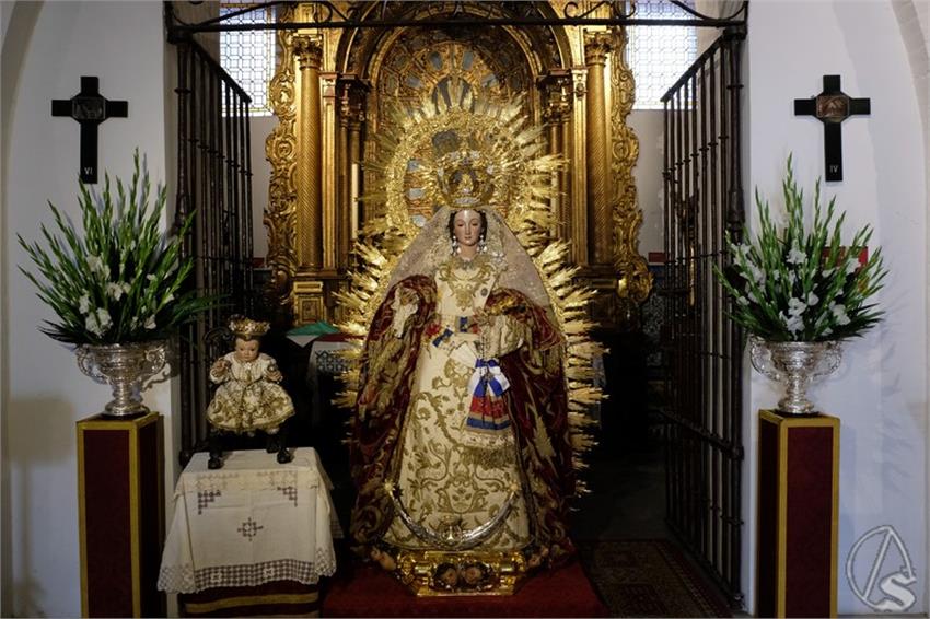 DSCF8460__Copiar__2.JPG