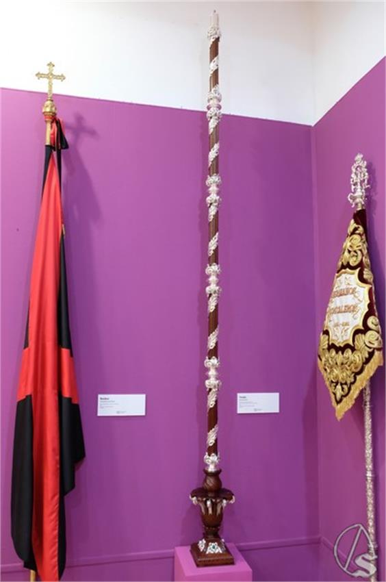 DSCF8511__Copiar__2.JPG