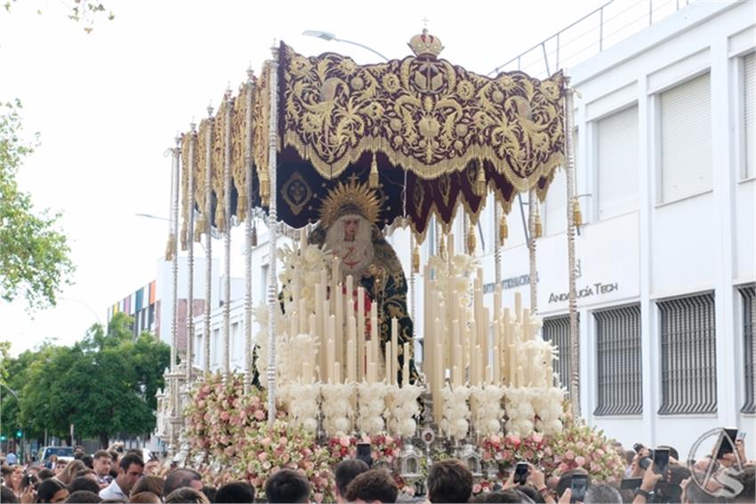 DSCF8563__Copiar__1.JPG