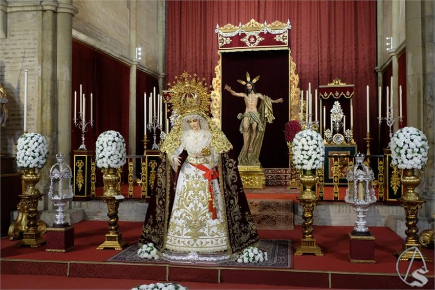 DSCF8573__Copiar__2.JPG
