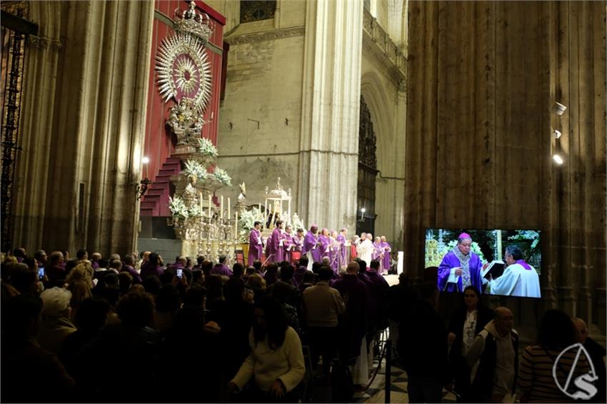 DSCF8775__Copiar__3.JPG