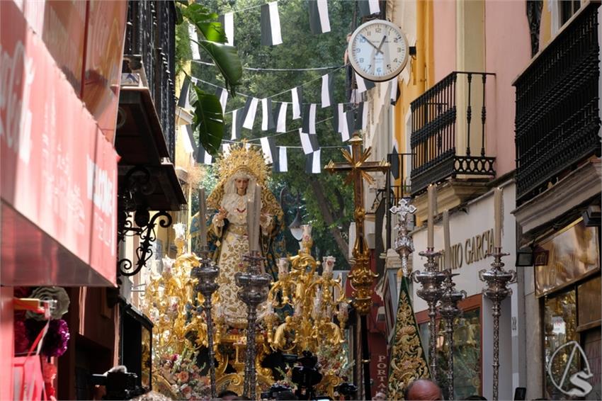 DSCF8784__Copiar__2.JPG