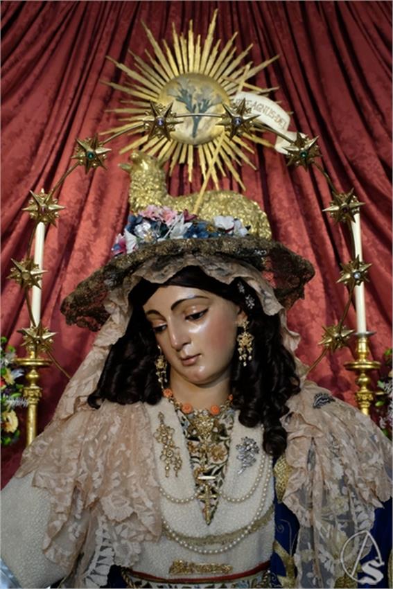 DSCF8889__Copiar__2.JPG