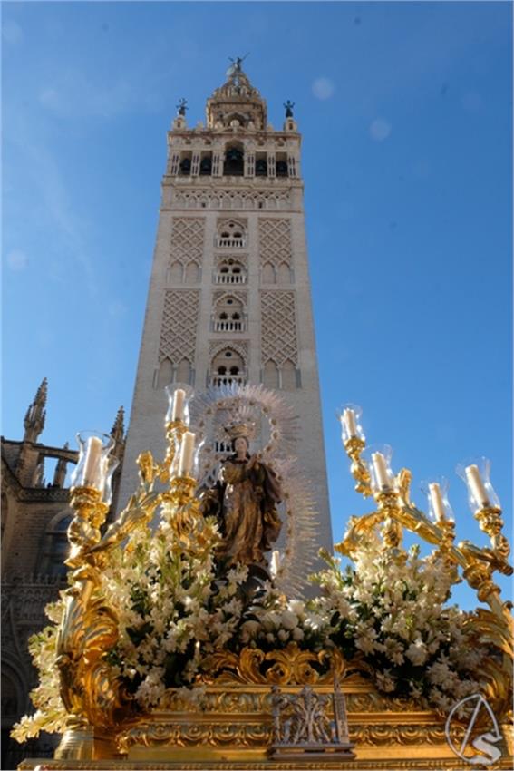 DSCF8981__Copiar__3.JPG