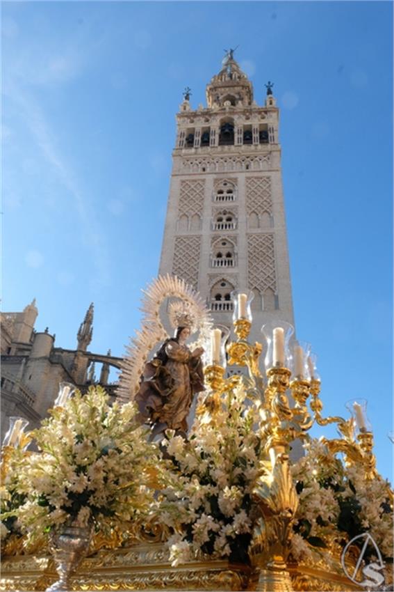 DSCF8996__Copiar__4.JPG