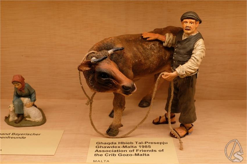DSCF9065__Copiar__1.JPG
