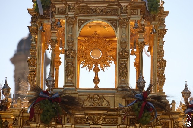 corpus sed